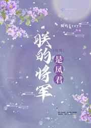 朕的将军是凤君（女尊）